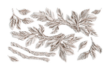 Load image into Gallery viewer, IOD Viridis Mould