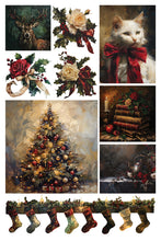 Load image into Gallery viewer, IOD Crimson Velvet Transfer