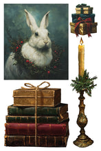 Load image into Gallery viewer, IOD Crimson Velvet Transfer