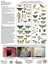 Load image into Gallery viewer, IOD Entomology Etcetera Transfer