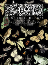 Load image into Gallery viewer, IOD Entomology Etcetera Transfer