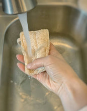 Load image into Gallery viewer, Loofah Dish Sponge: Double Layer with cotton loop 3-Pack