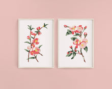 Load image into Gallery viewer, Cherry Blossoms Paint-By-Numbers kit