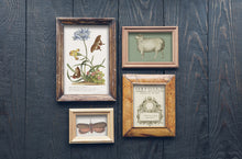 Load image into Gallery viewer, IOD Brocante Transfer 12x16 Pad - 8 sheets