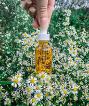 Load image into Gallery viewer, Little Seed Farm Antioxidant Serum