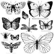 Load image into Gallery viewer, IOD Butterflies Decor Stamp 12 X12