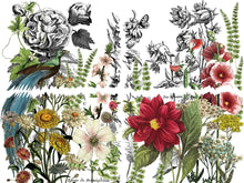 Load image into Gallery viewer, IOD Midnight Garden Transfer Set by IOD - Iron Orchid Designs