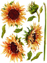 Load image into Gallery viewer, IOD Painterly Florals Decor Transfer - Iron Orchid Designs