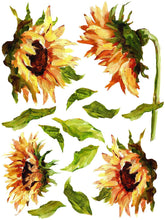 Load image into Gallery viewer, IOD Painterly Florals Decor Transfer - Iron Orchid Designs