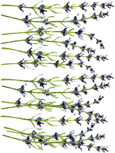 Load image into Gallery viewer, IOD Painterly Florals Decor Transfer - Iron Orchid Designs