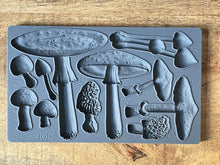 Load image into Gallery viewer, IOD Toadstool Mould