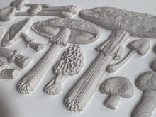 Load image into Gallery viewer, IOD Toadstool Mould
