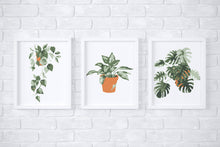 Load image into Gallery viewer, Tropical Plants Paint-By-Numbers kit