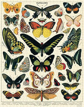 Load image into Gallery viewer, Cavallini & Co. Butterflies Vintage 1000 Piece Puzzle
