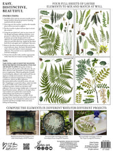 Load image into Gallery viewer, IOD FRONDS BOTANICAL DECOR TRANSFER Pad - Iron Orchid Designs