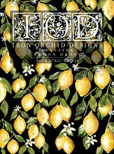 Load image into Gallery viewer, IOD IOD LEMON DROPS TRANSFER 12×16 PAD