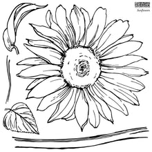 Load image into Gallery viewer, IOD Sunflowers Stamp - Iron Orchid Designs