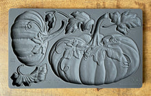 Load image into Gallery viewer, Hello Pumpkin 6X10 IOD MOULD
