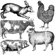 IOD Farm Animals Stamp 12 X 12