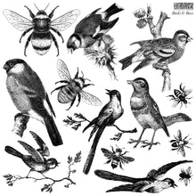 Load image into Gallery viewer, IOD Birds and Bee 12 X 12 Stamp
