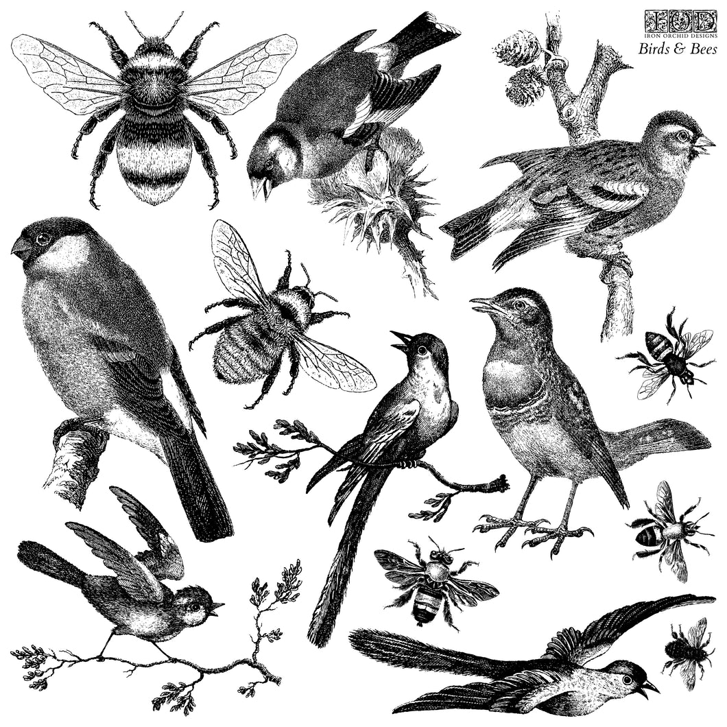 IOD Birds and Bee 12 X 12 Stamp