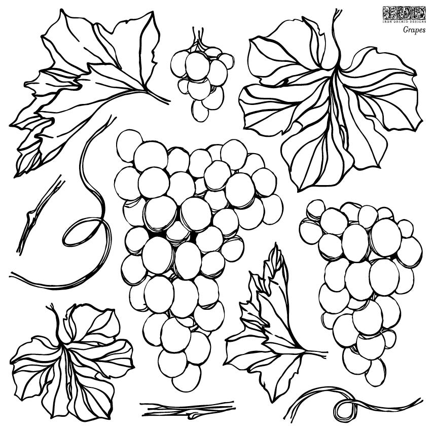 IOD Grapes 12×12 IOD STAMP - Spring 2021 Release