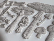 Load image into Gallery viewer, IOD Toadstool Mould
