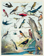 Load image into Gallery viewer, Cavallini &amp; Co. Audubon Birds 1000 Piece Puzzle
