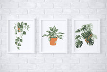 Load image into Gallery viewer, Tropical Plants Paint-By-Numbers kit
