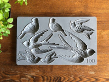 Load image into Gallery viewer, IOD Birdsong Mould
