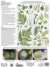 Load image into Gallery viewer, IOD FRONDS BOTANICAL DECOR TRANSFER Pad - Iron Orchid Designs
