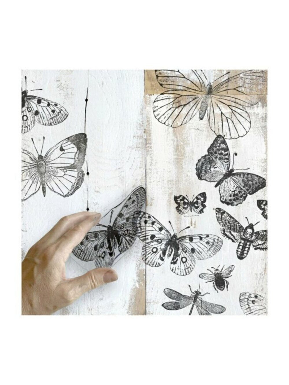 IOD Butterflies Decor Stamp 12 X12