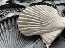 Load image into Gallery viewer, IOD Sea Shell - Iron Orchid Designs
